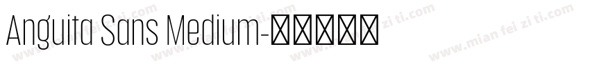 Anguita Sans Medium字体转换
